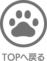 TOPへ戻る